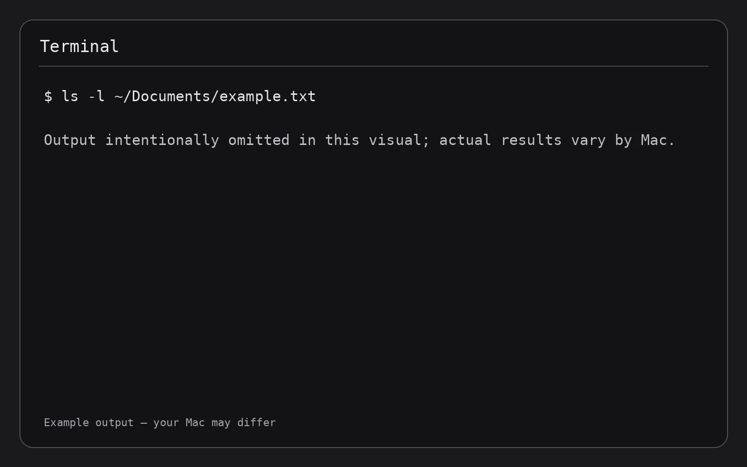 Terminal showing the command ls -l ~/Documents/example.txt